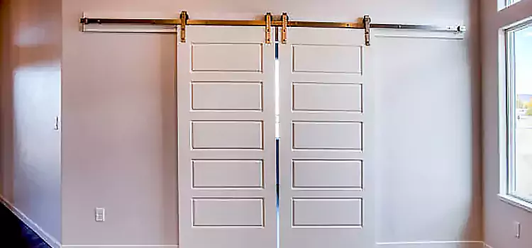 Glass Barn Door with Installation Hardware Kit Reedley
