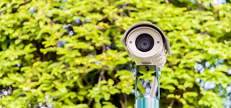 Advanced Surveillance Solutions for Every Need in Reedley