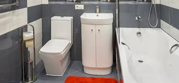 Hansgrohe Shaving Mirror Reedley